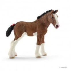 Clydesdale Foal