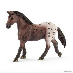 Appaloosa Mare 1 Appaloosa Mare
