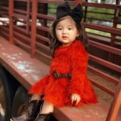 Dress Red Fringe Skater