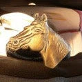 Horse Buckle