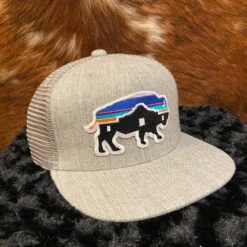 Alamo Buffalo Grey Red Dirt Hat Co. Kids Western Cap